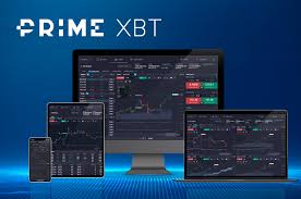 Explore the Features and Benefits of PrimeXBT