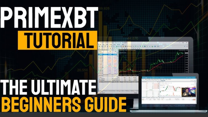 Exploring the Advantages of PrimeXBT Crypto Broker for Traders Exploring the Advantages of PrimeXBT Crypto Broker for Traders
